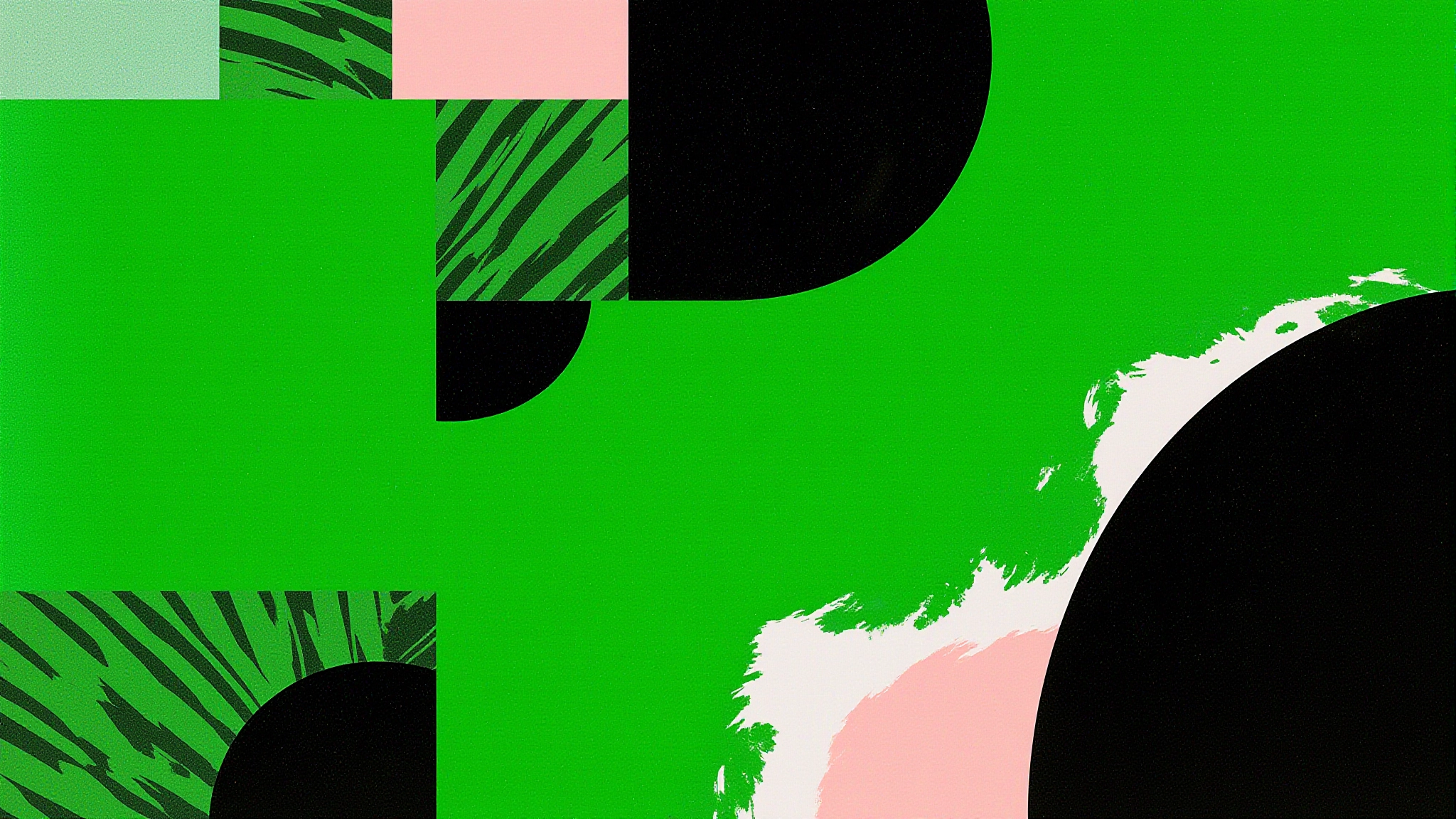 A lush sunlit patch of grass full of flowers in a dense forest